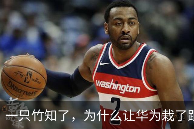 一只竹知了，为什么让华为栽了跟头？