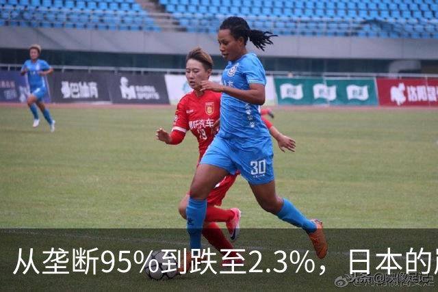 从垄断95%到跌至2.3%，日本的崩溃循环，中国亲手按下终止键