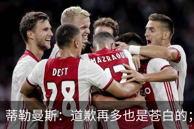 蒂勒曼斯：道歉再多也是苍白的；我们几乎所有环节都脱节了